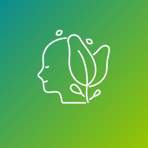 HOME – Página Principal